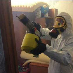 Уничтожение клопов в квартире. Россошь